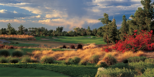 The Raven
