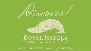 Discover Royal Isabela!